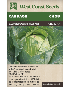 Copenhagen Market Fall Cabbage Vegetables Seeds - West Coast Seeds