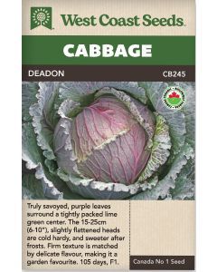 Deadon F1 (Coated) Certifed Organic (20 Seeds) Winter Cabbage Vegetable Seeds - West Coast Seeds - CB245A
