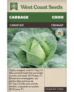 Caraflex F1 (Coated) Certified Organic Summer Cabbage Vegetables Seeds - West Coast Seeds