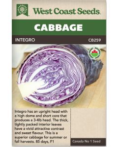 Integro F1 (Coated) Certified Organic (15 Seeds) Summer Cabbage Vegetable Seeds - West Coast Seeds - CB259A