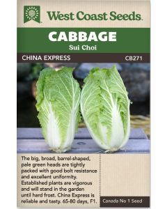 China Express F1 (Sui Choi) Summer Cabbage Vegetable Seeds - West Coast Seeds - CB271A