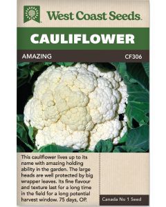 Amazing Main Cauliflower Vegetable Seeds - West Coast Seeds - CF306A