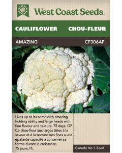 Amazing Main Cauliflower Vegetables Seeds - West Coast Seeds