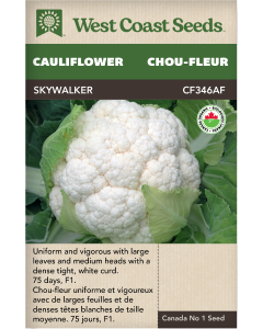 Skywalker F1 (Coated) Certified Organic Main Cauliflower Vegetables Seeds - West Coast Seeds