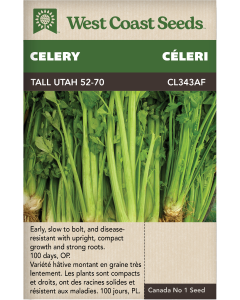 Tall Utah 52–70 Céleri Légumes Graines - West Coast Seeds