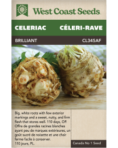 Brilliant Celeriac Celery Vegetables Seeds - West Coast Seeds