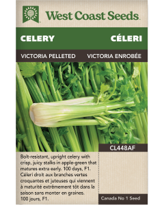 Victoria F1 (Pelleted) Celery Vegetables Seeds - West Coast Seeds