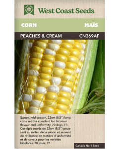 Peaches and Cream Early F1 Corn Vegetables Seeds - West Coast Seeds