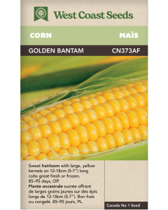 Golden Bantam Corn Vegetables Seeds - West Coast Seeds