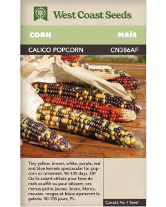 Calico Popcorn Popcorn Corn Vegetables Seeds - West Coast Seeds