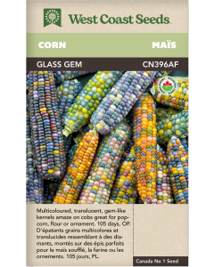 Glass Gem Certified Organic Corn Vegetables Seeds - West Coast Seeds