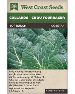 Top Bunch F1 Collards Vegetables Seeds - West Coast Seeds