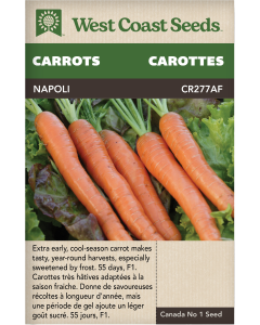 Napoli F1 (Coated) Certified Organic Nantes Carrots Vegetables Seeds - West Coast Seeds