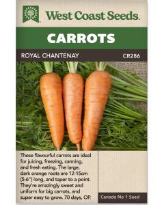 Royal Chantenay Chantenay Carrots Vegetable Seeds - West Coast Seeds - CR286A