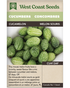 Cucamelon Specialty Cucumbers Vegetables Seeds - West Coast Seeds