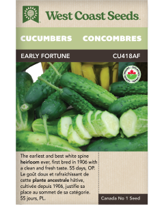 Early Fortune Certified Organic Slicing Cucumbers Vegetables Seeds - West Coast Seeds