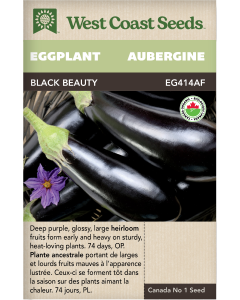 Black Beauty Certified Organic Purple Eggplants Vegetables Seeds - West Coast Seeds