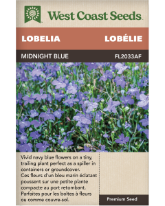 Midnight Blue Annual Lobelia Flowers Seeds - West Coast Seeds
