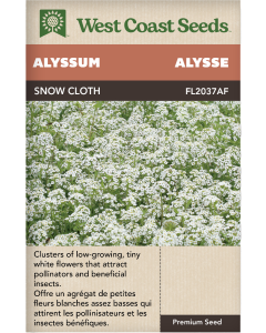 Snow Cloth Annual Alyssum Flowers Seeds - West Coast Seeds