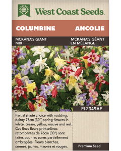 McKana's Giant Mix Perennial Columbine Flowers Seeds - West Coast Seeds