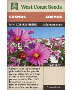 Mini Blend Annual Cosmos Flowers Seeds - West Coast Seeds