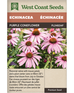 Coneflowers Purple Perennial Echinacea Flowers Seeds - West Coast Seeds