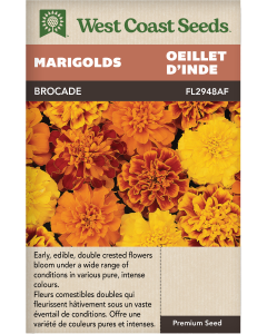 Brocade Annual Marigolds Flowers Seeds - West Coast Seeds