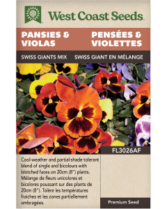 Swiss Giants Mix Perennial Pansies & Violas Flowers Seeds - West Coast Seeds
