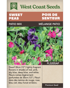 Patio Mix Annual Sweet Peas Flowers Seeds - West Coast Seeds