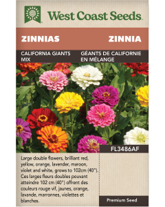 California Giants Mix Annual Zinnias Flowers Seeds - West Coast Seeds