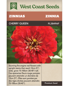 Cherry Queen Annual Zinnias Flowers Seeds - West Coast Seeds