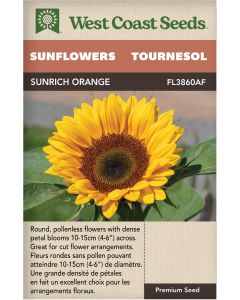 Sunrich Orange Annual Sunflowers Flowers Seeds - West Coast Seeds