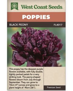 Black Peony Poppies Flower Seeds - West Coast Seeds - FL4017A