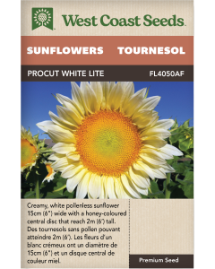 ProCut White Lite F1 Annual Sunflowers Flowers Seeds - West Coast Seeds