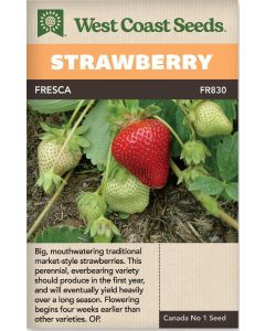 Fresca (40 Seeds) Perennial Strawberry Fruit Seeds - West Coast Seeds - FR830A