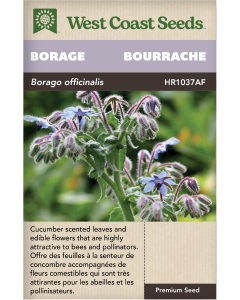 Borage Annual Borage Herbs Seeds - West Coast Seeds
