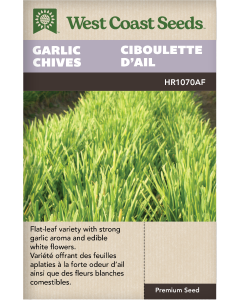 Garlic Chives Perennial Chives Herbs Seeds - West Coast Seeds