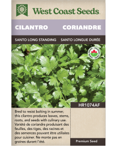 Santo Certified Organic Cilantro Herbs Seeds - West Coast Seeds