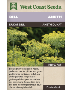 Dukat Annual Dill Herbs Seeds - West Coast Seeds