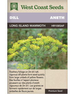 Long Island Mammoth Annual Dill Herbs Seeds - West Coast Seeds
