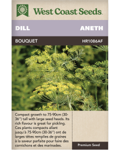 Bouquet Annual Dill Herbs Seeds - West Coast Seeds