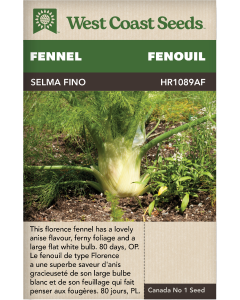 Selma Fino Fennel Vegetables Seeds - West Coast Seeds
