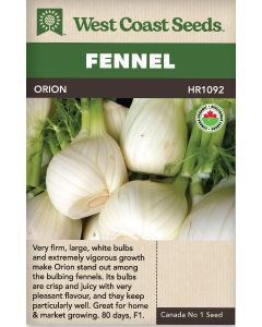 Orion F1 (Coated) Certified Organic (50 Seeds) Fennel Herb Seeds - West Coast Seeds - HR1092A