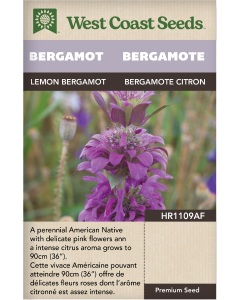 Lemon Bergamot Perennial Bergamot Herbs Seeds - West Coast Seeds