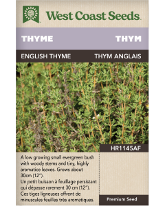 English Thyme Perennial Thyme Herbs Seeds - West Coast Seeds