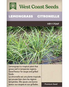 Lemongrass Lemongrass Herbs Seeds - West Coast Seeds