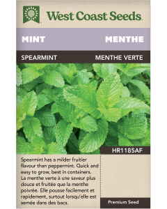 Spearmint Mint Herbs Seeds - West Coast Seeds