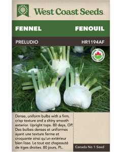 Preludio F1 Certified Organic Bulb Fennel Vegetables Seeds - West Coast Seeds