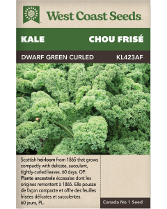 Dwarf Green Curled Kale Vegetables Seeds - West Coast Seeds