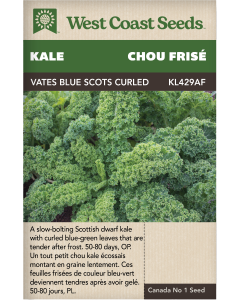 Vates Blue Curled Scotch Kale Vegetables Seeds - West Coast Seeds